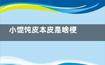 小馄饨皮本皮是啥梗 小馄饨皮本皮梗出自于哪里